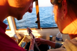 http://www.juliesteyer.com/files/gimgs/th-9_la peche © Julie Steyer.jpg